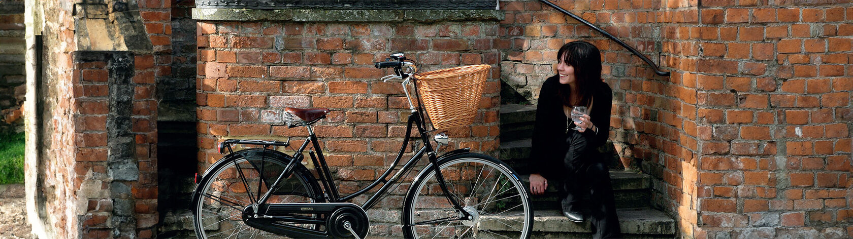 Велосипед Pashley Princess Sovereign 8 Green 22.5"