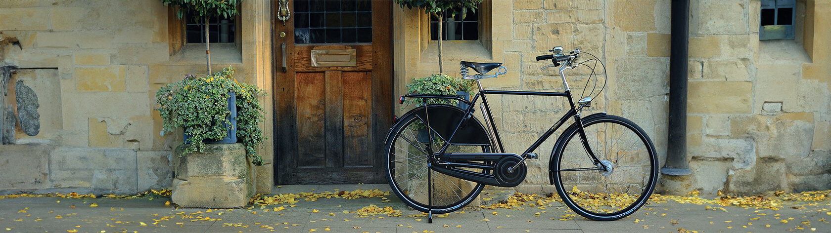 Велосипед Pashley Roadster Classic 3 Green 22.5"