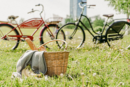 Корзина для велосипеда Electra Quick Release Wicker Basket Natural