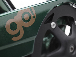 Электровелосипед Electra Townie GO! 7D EQ Step Over Evergreen Metallic